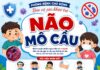 Phòng Bệnh não mô cầu ở trẻ em